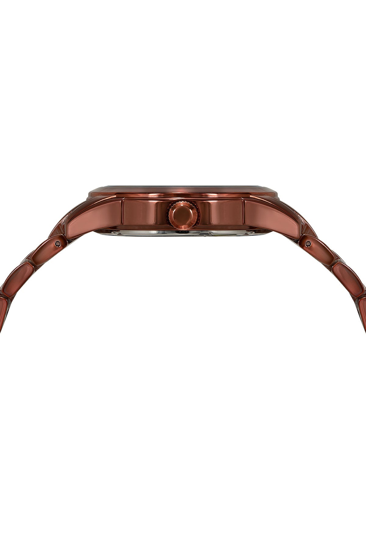 Diana Stainless Steel Brown Women's Diamond Watch 741DDIS